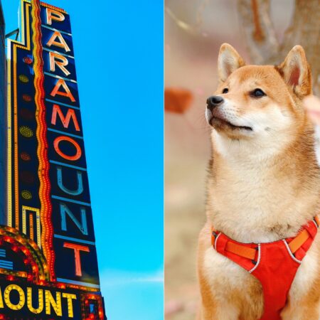 Shiba Inu And Paramount Collab In The Making?